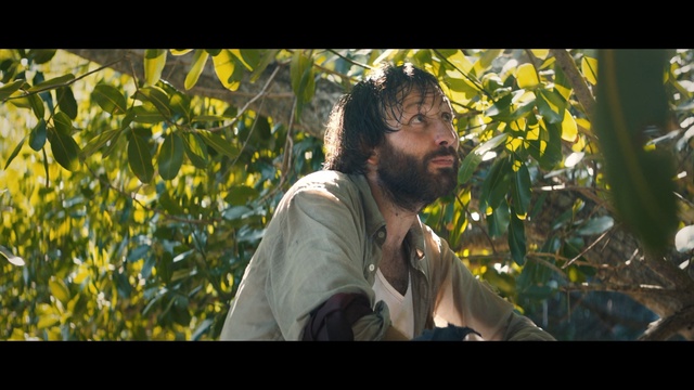 Video Reference N4: Hair, Adaptation, Beard, Facial hair, Human, Tree, Photography, Jungle, Plant, Moustache, Person