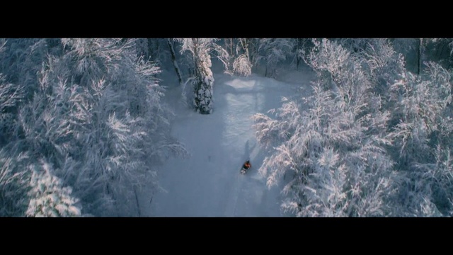 Video Reference N8: Nature, Atmosphere, Geological phenomenon, Winter, Sky, Tree, Water, Earth, Snow, Organism