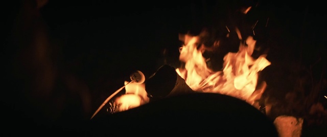 Video Reference N3: Heat, Fire, Flame, Campfire, Bonfire, Performance art, Event, Night, Darkness
