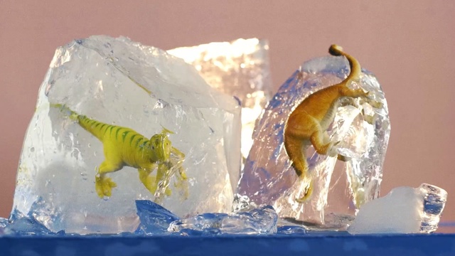 Video Reference N0: Dinosaur, Ice, Animal figure, Tyrannosaurus, Figurine