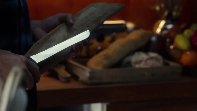 Video Reference N4: Tool, Knife, Melee weapon, Bowie knife, Cold weapon, Hand tool, Kitchen knife