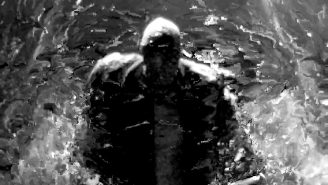 Video Reference N2: Water, Black-and-white, Monochrome photography, Photography, Organism, Monochrome, Style