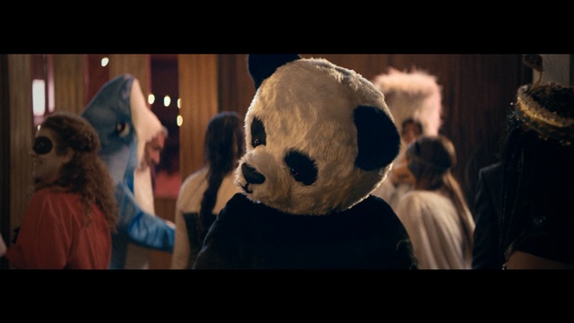 Video Reference N0: Panda, Teddy bear, Bear, Fur