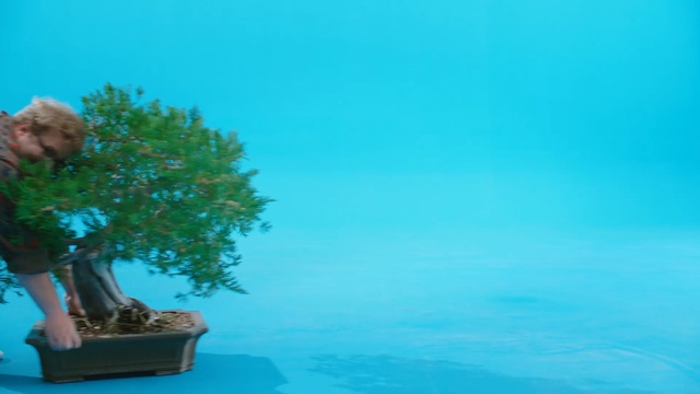 Video Reference N2: Blue, Aqua, Green, Sky, Turquoise, Tree, Azure, Teal, Turquoise, Sea