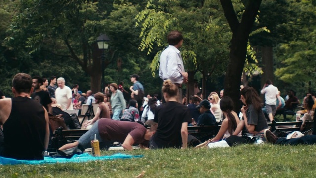 Video Reference N3: Crowd, Event, Fun, Grass, Recreation, Leisure, Picnic, Lawn, Style
