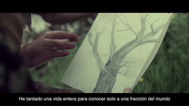 Video Reference N2: Leaf, Drawing, Portrait, Art, Tree, Illustration, Painting, Adaptation, Hand, Visual arts