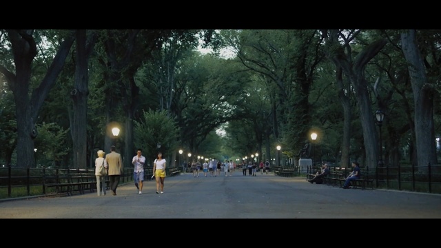 Video Reference N6: tree, nature, green, sky, urban area, woody plant, lane, plant, road, night, Person
