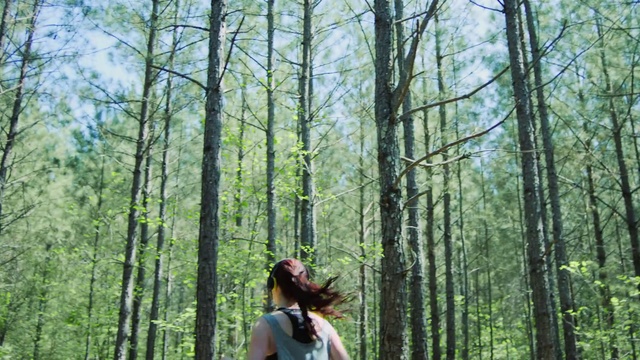 Video Reference N0: Tree, People in nature, Forest, Natural environment, Nature, Photograph, Woodland, Green, Old-growth forest, Nature reserve