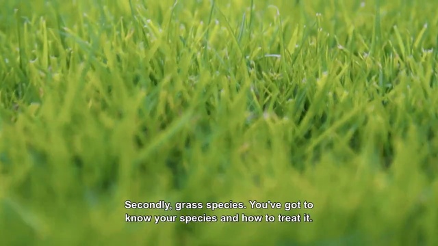 Video Reference N2: Green, Grass, Nature, Vegetation, Plant, Grassland, Lawn, Field, Grass family, Crop