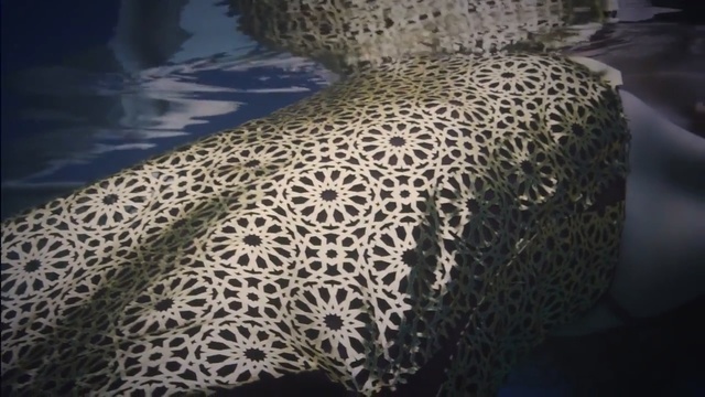 Video Reference N3: doily, organism, lace, material, Person
