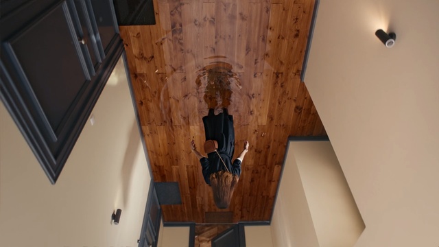 Video Reference N0: ceiling, wall, wood, lighting, light fixture, wood stain, flooring, floor, hardwood, Person