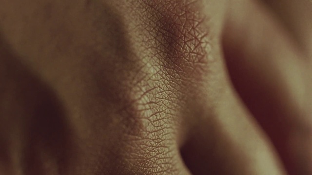 Video Reference N5: Skin, Close-up, Brown, Nose, Hand, Macro photography, Eye, Lip, Textile, Photography