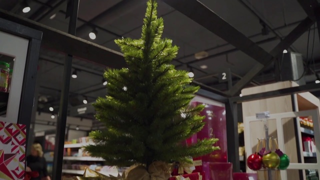 Video Reference N1: Christmas tree, Tree, Christmas, Christmas decoration, Houseplant, Plant, Spruce, Floristry, Woody plant, Branch