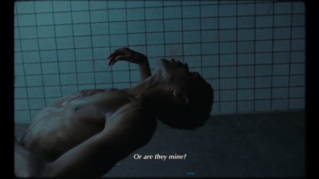 Video Reference N1: underwater, muscle, arm, organism, human, darkness, water, screenshot, chest, back