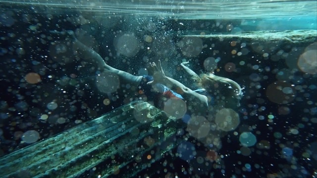 Video Reference N1: Water, Underwater, Organism, Marine biology