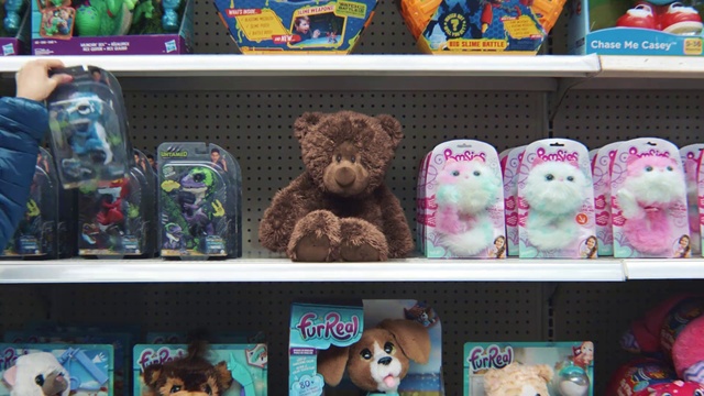 Video Reference N0: Toy, Shelf, Collection, Teddy bear, Plush, Stuffed toy, Shelving, Room, Bear, Souvenir