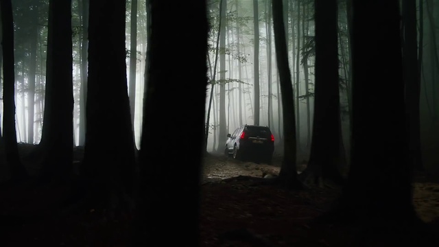Video Reference N0: Atmosphere, Plant, Automotive lighting, Wood, Vehicle, Branch, Tire, Tree, Sky, Car