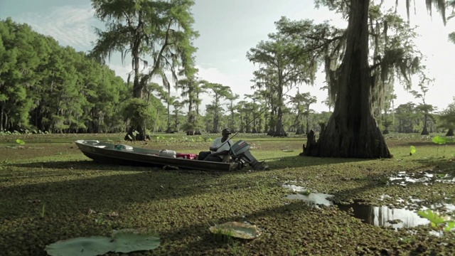 Video Reference N9: Water transportation, Tree, Bayou, Boat, Vehicle, Grass, Bank, River, Woody plant, Plant