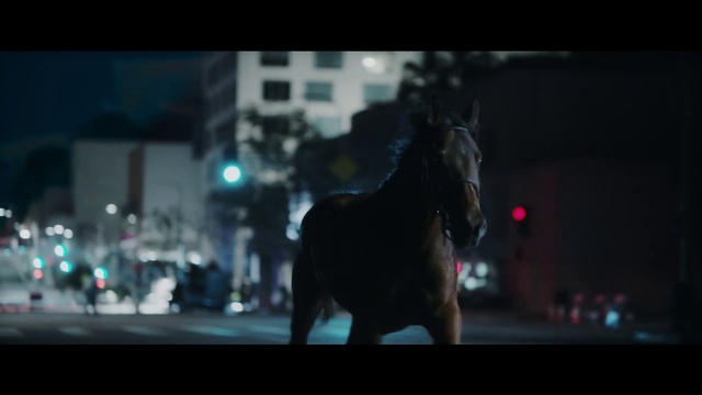 Video Reference N0: Black, Light, Horse, Darkness, Snapshot, Night, Mode of transport, Lighting, Photography, Sky