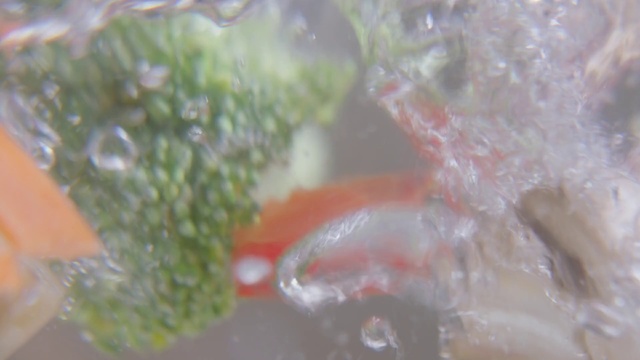 Video Reference N1: Water, Close-up, Organism, Plant, Macro photography