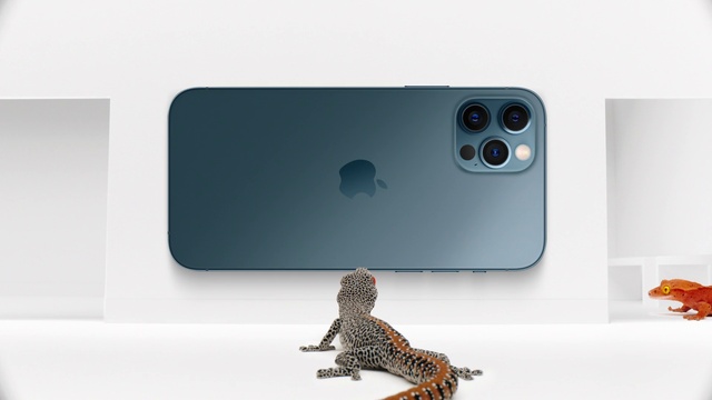 Video Reference N0: Lizard, Gecko, Reptile, Scaled reptile, Technology, Electronic device, Gadget, Mobile phone, Dinosaur