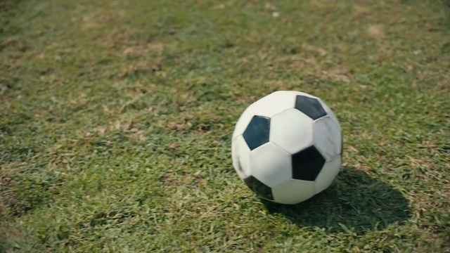 Video Reference N0: Soccer ball, Football, Ball, Grass, Pallone, Soccer, Sports equipment, Team sport, Ball game, Plant