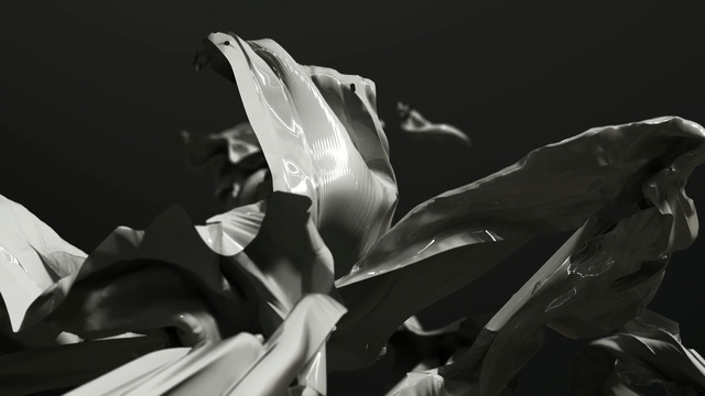 Video Reference N0: black and white, monochrome photography, photography, monochrome, still life photography, macro photography, computer wallpaper