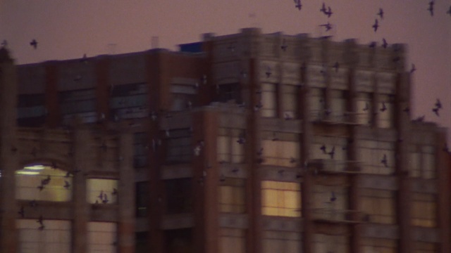 Video Reference N1: Wall, Architecture, Building, Tower block, Person