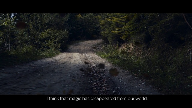 Video Reference N1: Nature, Black, Natural environment, Road, Biome, Forest, Tree, Darkness, Trail, Geological phenomenon