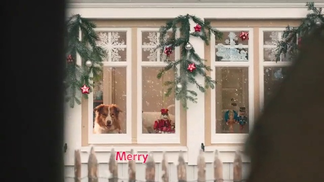 Video Reference N8: Christmas tree, Christmas decoration, Christmas, Window, Tree, Interior design, Room, Christmas ornament, Interior design, Home