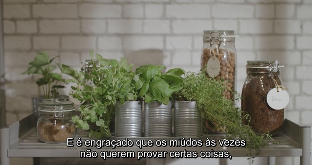 Video Reference N2: Mason jar, Flowerpot, Room, Houseplant, Plant, Herb, Food storage containers, Glass, Tableware, Interior design, Person