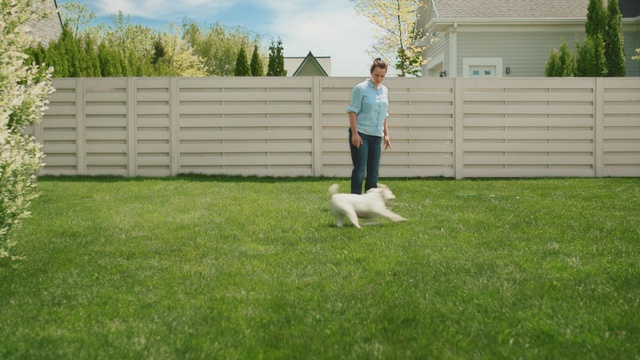 Video Reference N0: lawn, grass, yard, fence, plant, backyard, obedience trial, obedience training, dog like mammal, home fencing