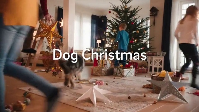 Video Reference N13: Christmas tree, Christmas decoration, Christmas, Living room, Room, Interior design, Tree, Christmas ornament, Interior design, Holiday