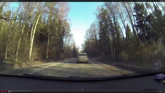 Video Reference N12: Road, Nature, Mode of transport, Tree, Lane, Morning, Thoroughfare, Asphalt, Infrastructure, Sunlight