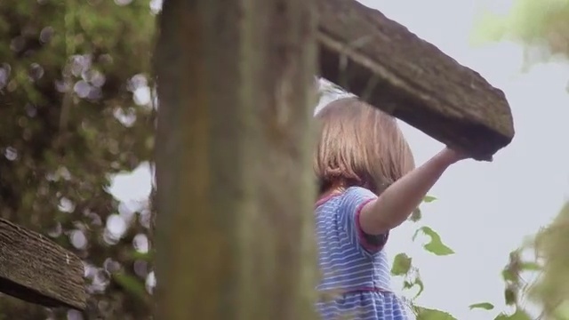 Video Reference N4: tree, girl, branch, grass, happiness, fun, sky, plant, Person