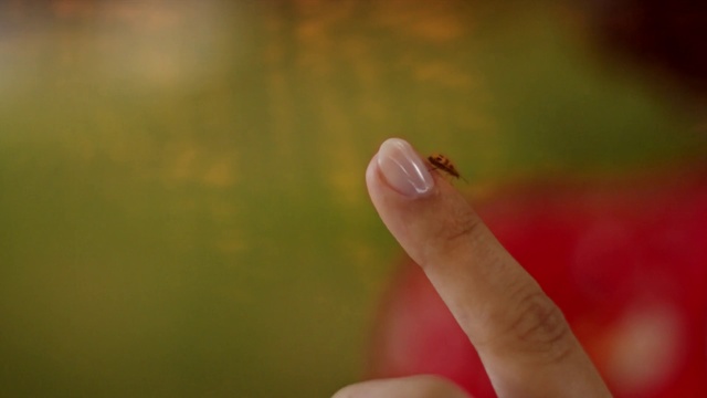 Video Reference N1: Finger, Green, Nail, Hand, Leaf, Skin, Close-up, Thumb, Macro photography, Grass