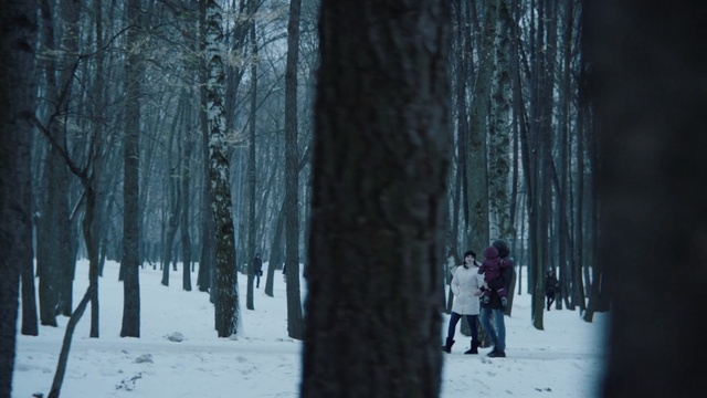Video Reference N1: winter, tree, nature, snow, woody plant, freezing, forest, light, frost, woodland, Person