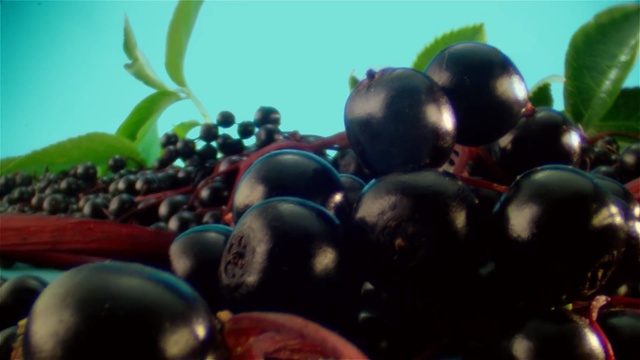 Video Reference N1: Black, People, Green, Fruit, Crowd, Plant, Fun, Tree, Berry