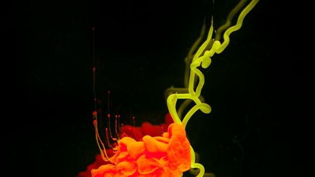 Video Reference N1: Yellow, Orange, Flame, Organism, Macro photography, Heat, Fire
