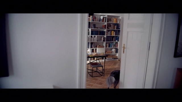 Video Reference N3: Shelf, Bookcase, Building, Chair, Wood, Shelving, Flooring, Hardwood, Window, Door