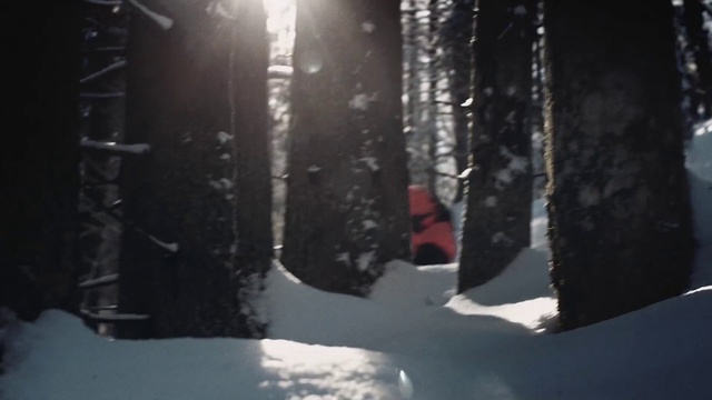 Video Reference N14: Snow, Winter, Light, Tree, Freezing, Geological phenomenon, Footwear, Forest, Font, Ice