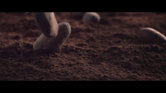 Video Reference N1: Nature, Soil, Close-up, Photography, Rock