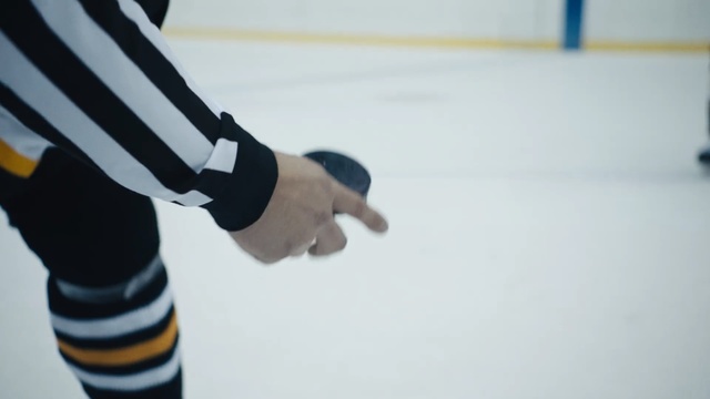 Video Reference N2: ice, sports, ice hockey, shoe, ice skating, hand, winter sport, recreation, ice skate, curling