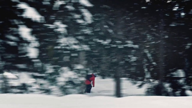 Video Reference N4: Snow, Winter, Tree, Freezing, Geological phenomenon, Recreation, Sky, Blizzard, Winter storm, Photography