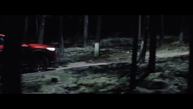 Video Reference N0: Darkness, Vehicle, Car, Automotive tire, Off-road vehicle, Off-roading, Tree, Tire, Automotive lighting, Forest
