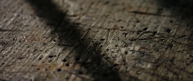 Video Reference N1: Brown, Soil, Close-up, Wood, Tree, Photography, Rock, Stock photography