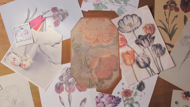 Video Reference N1: Pink, Textile, Illustration, Plant, Art, Flower, Still life, Paper