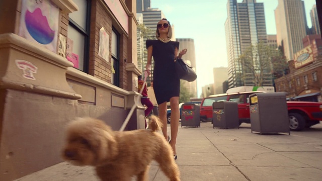 Video Reference N4: Dog, Building, Photograph, Orange, Street fashion, Neighbourhood, Sky, Dog breed, Road surface, Companion dog