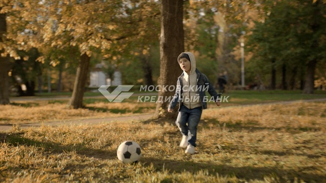 Video Reference N2: photograph, mammal, vertebrate, tree, grass, photography, plant, autumn, grass family, girl