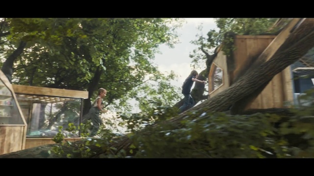 Video Reference N2: Nature, Tree, Woody plant, Plant, Sunlight, Grass, Woodland, Street stunts, Landscape, Photography